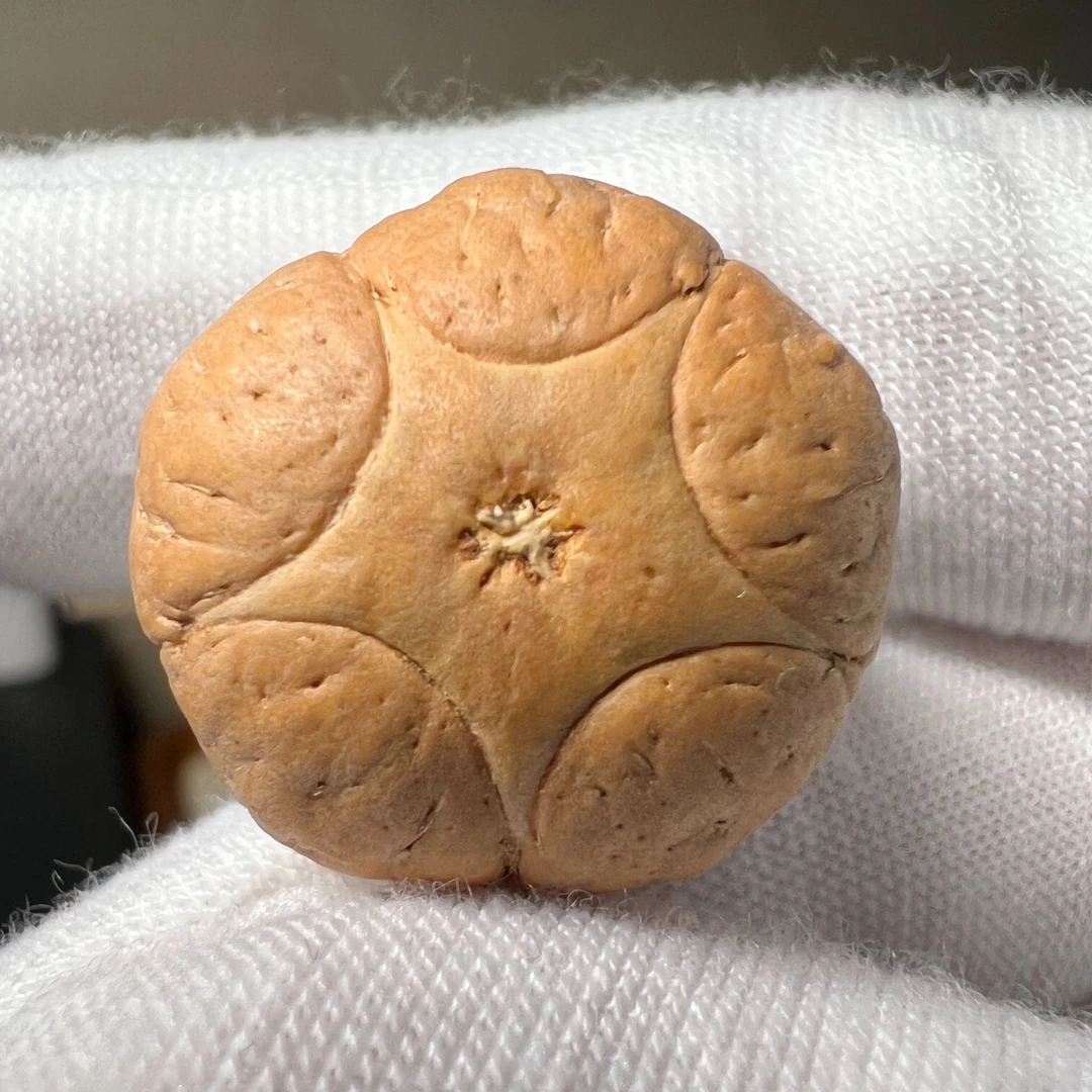 凤眼菩提五星上将尺寸20.7mm，厚度15mm