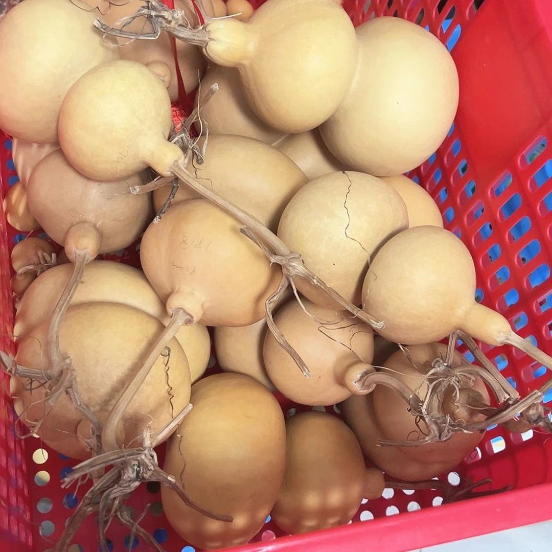 虎***卷12个大钱袋子，打包出