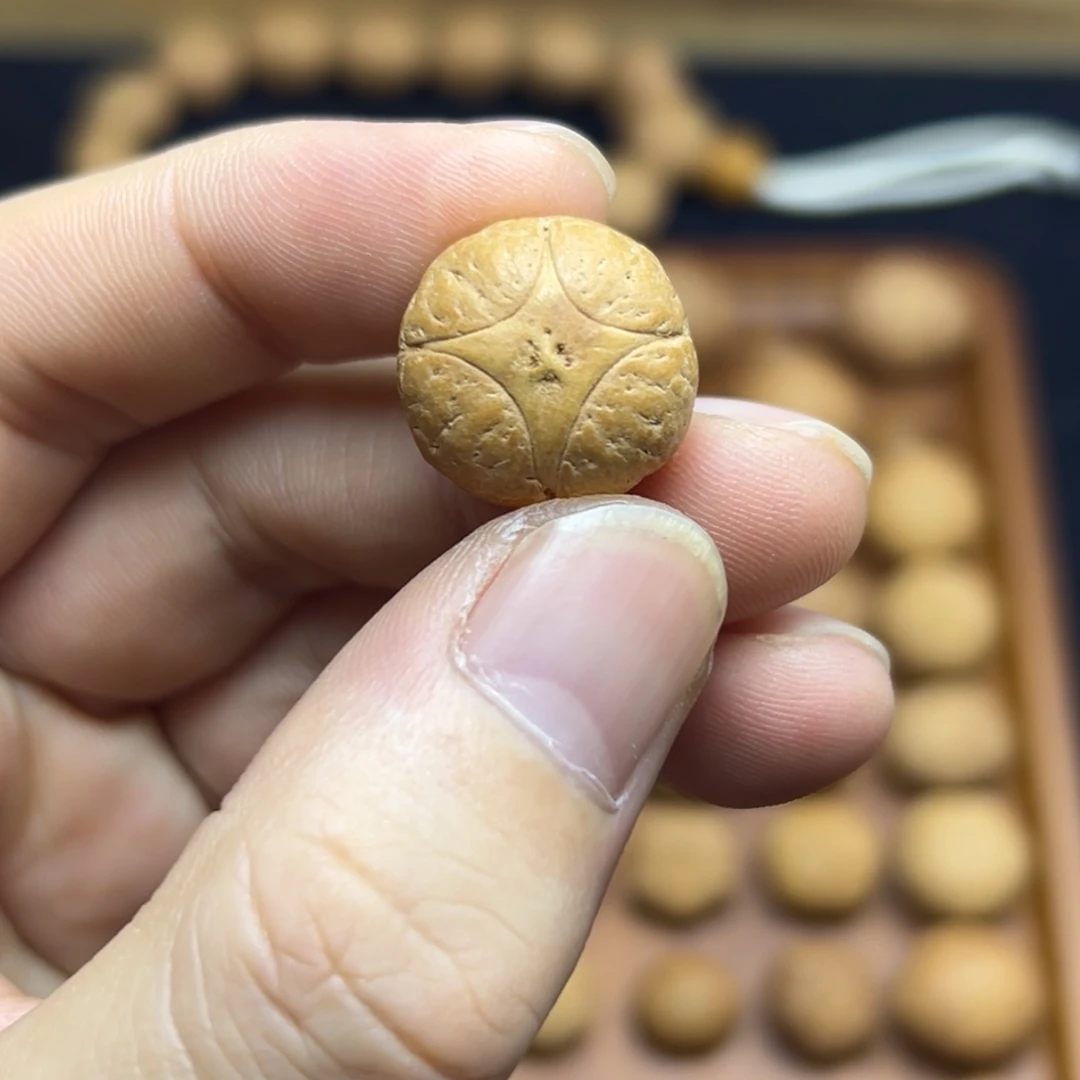 手串凤眼菩提17.8麒麟眼