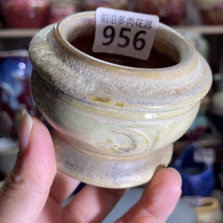 狼盆内口径5高度6