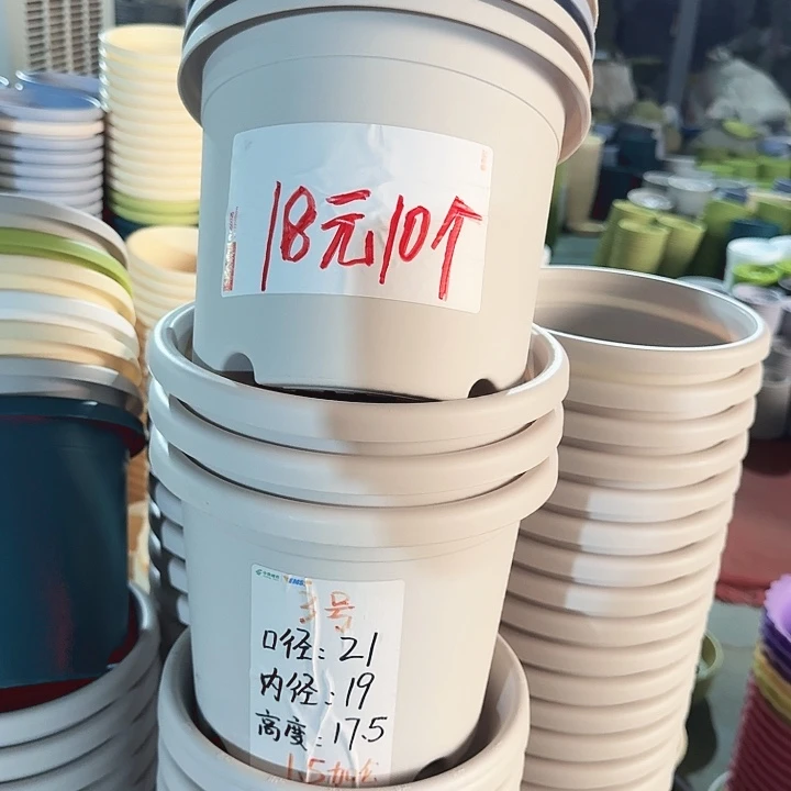 四季3#口径21灰白10个无托