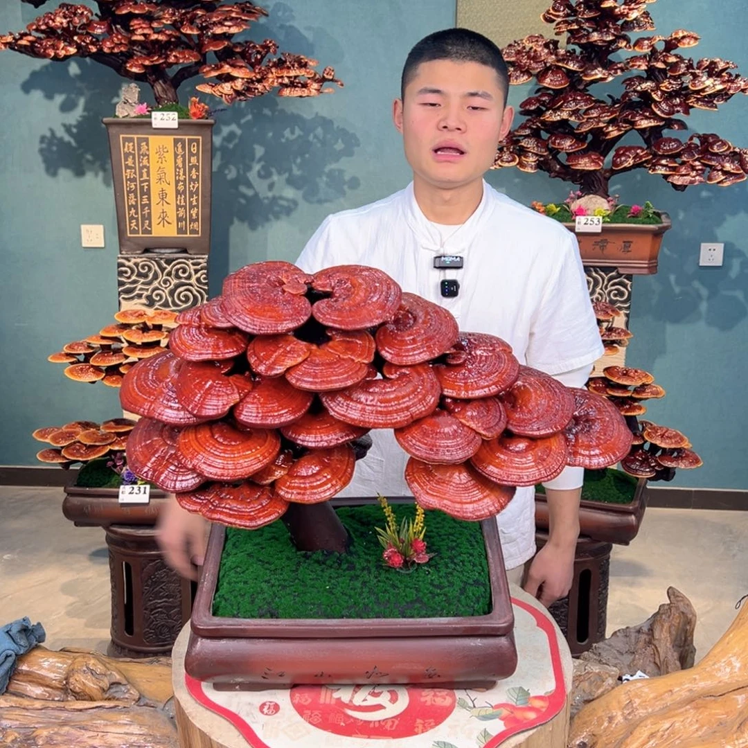 无花朵88888888888