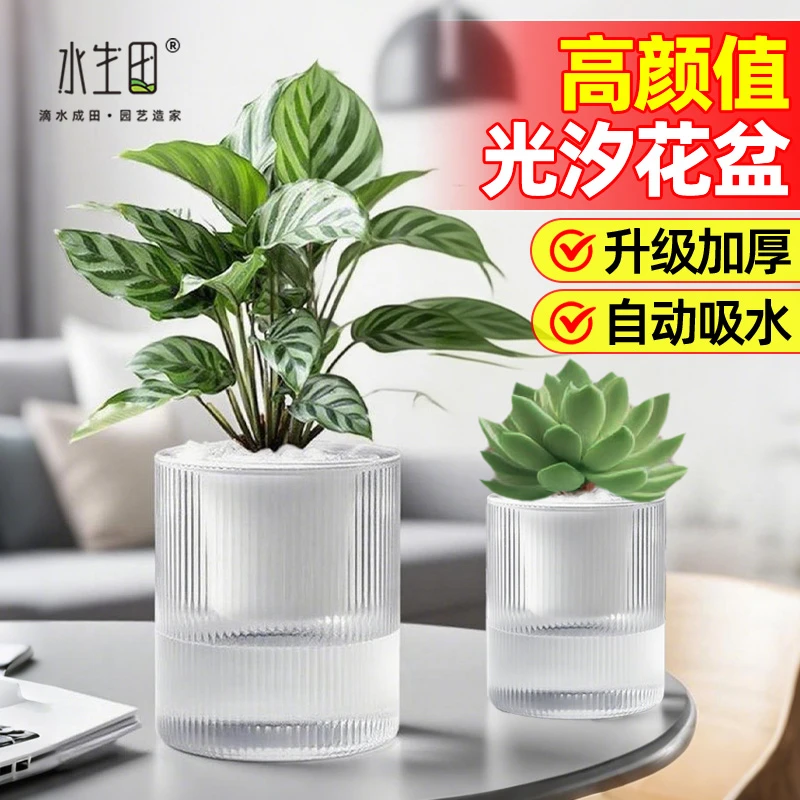 自吸水花盆桌面盆栽专用透气透水懒人水培绿萝办公室室内客厅加厚
