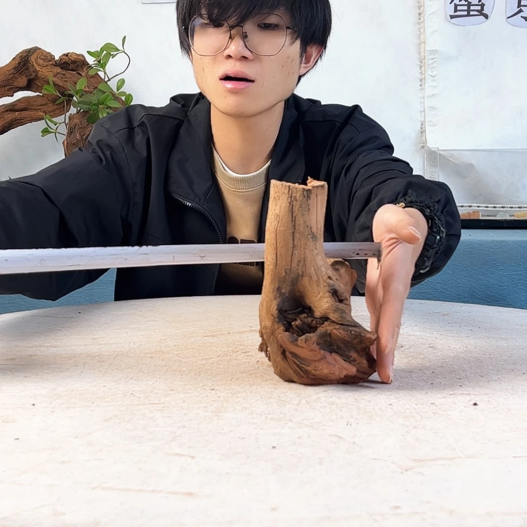 26.12.17 沉木造景爬宠造景