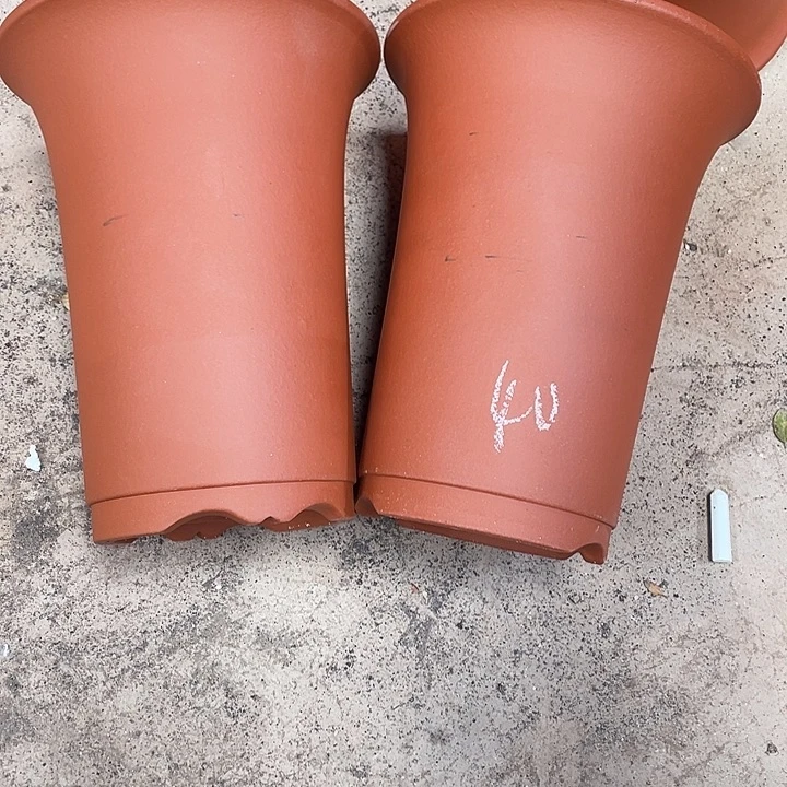 ****鞋宜兴丁山张伟花盆