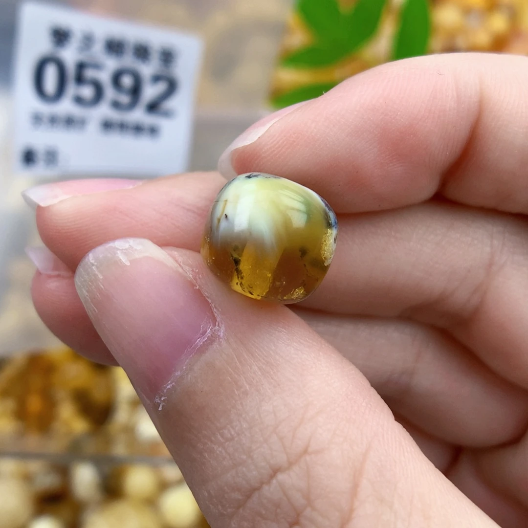 裸石琥珀未镶嵌11.6