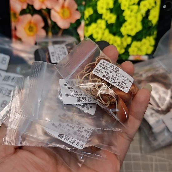 感***心酢浆草早花组合包邮