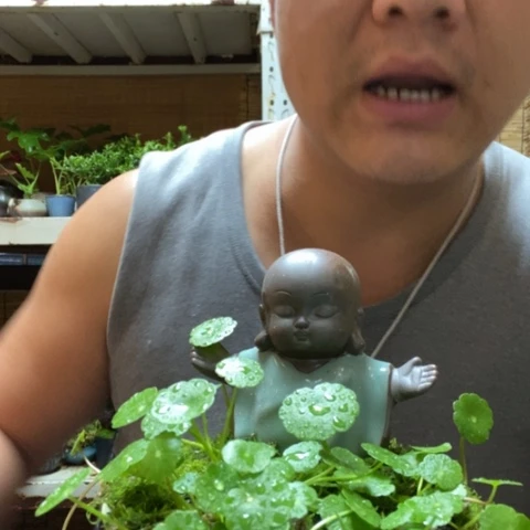 红陶一物一拍所见即所得137