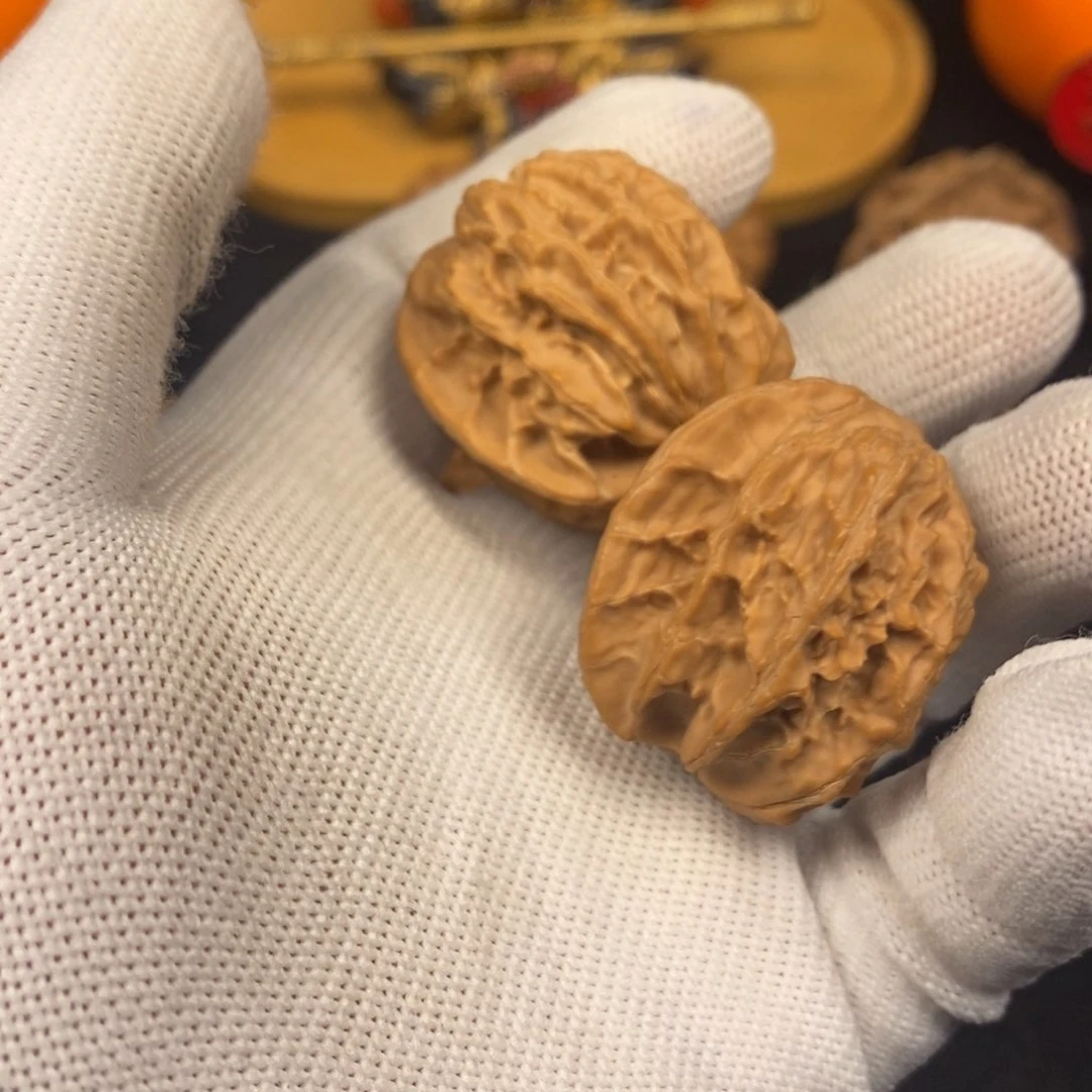 明**好秦岭森林中发现过几株