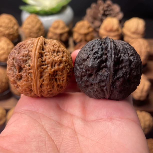 40尺寸  阴阳对（云南铁核桃一物一图产地直发）