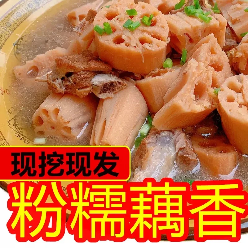 【次日达】重庆永川莲藕粉藕十里荷香新鲜采摘粉糯香软应季煲汤