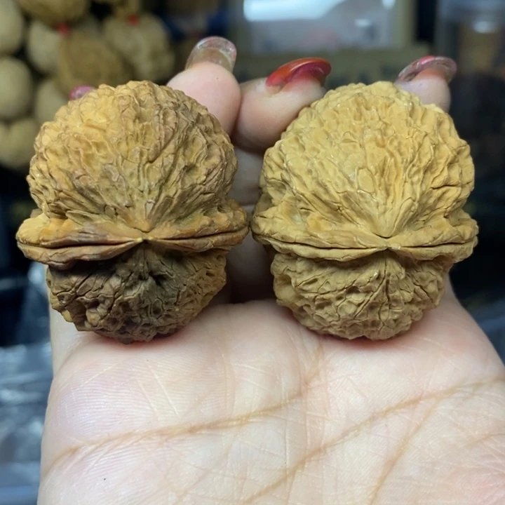 文玩核桃吊坠37龟背仙尊