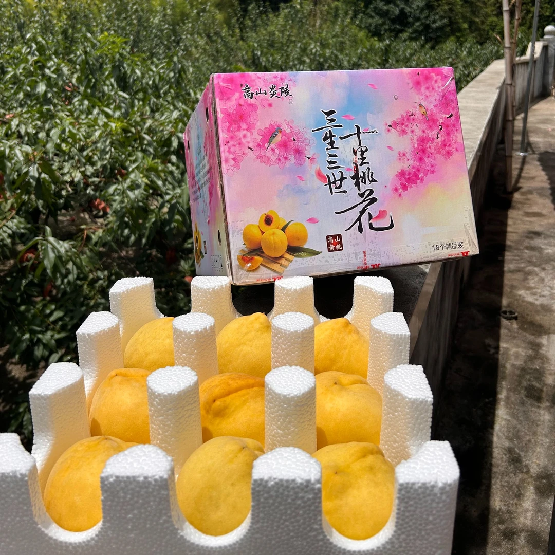 正宗高山炎陵黄桃果园现摘现发香甜脆水果5斤 10斤礼盒装锦绣黄桃