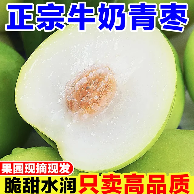 福建牛奶枣大青枣正宗脆甜新鲜应季水果现摘枣子苹果枣贵妃枣整箱