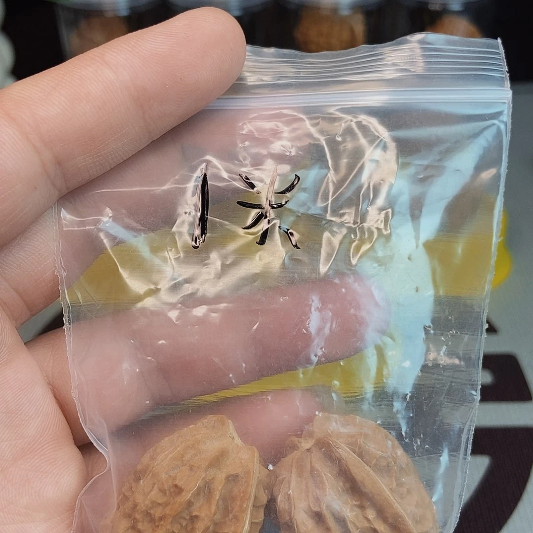 俟**清龙骨核桃手把件！！！！