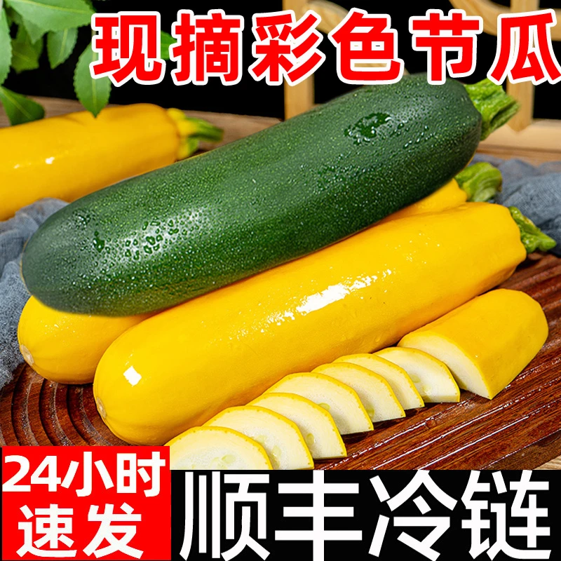 节瓜新鲜彩色黄绿西葫芦夏南瓜茄瓜沙拉煎饼西餐食用结瓜毛瓜蔬菜