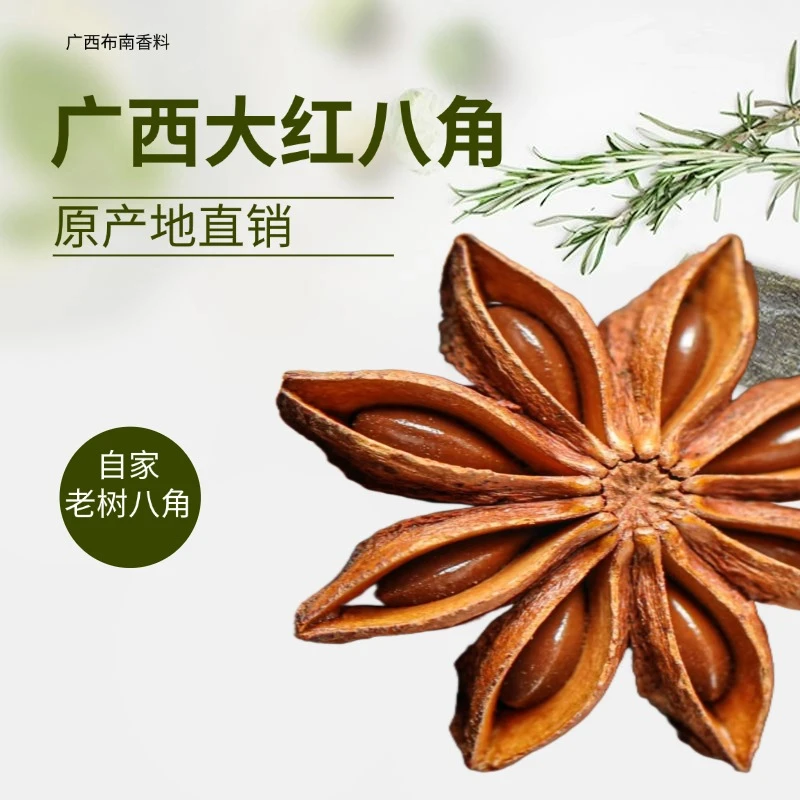 广西无硫八角香料八角烧烤调料大料调味品