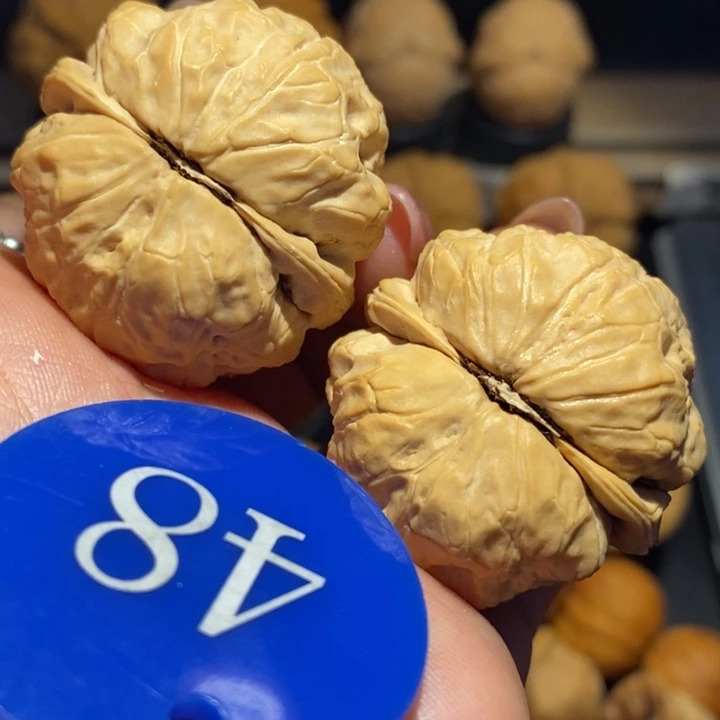 核桃荷叶蛙蛙尺寸37