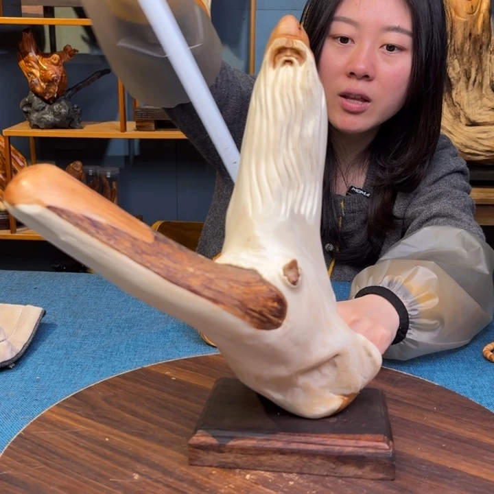 柏木（崖柏）关注一下