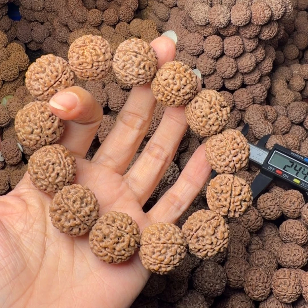 金刚菩提手串6瓣卡21尺，102号