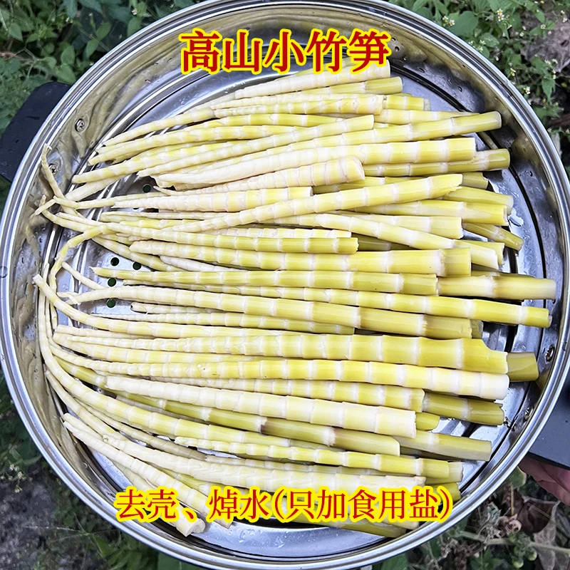 贵州鲜嫩新鲜去壳竹笋八月笋雷公山雷山特产方竹秋笋包邮非笋尖