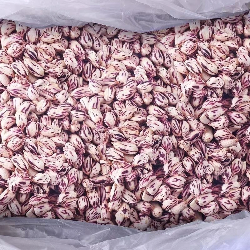 2024年新货七彩花生米新去壳野地花生种植批发七彩花生仁云南特产