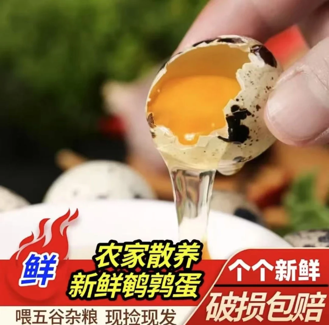 农家杂粮喂养新鲜生鹌鹑蛋适合做辅食现捡现发