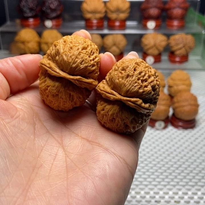 文玩核桃把件3食蚁兽