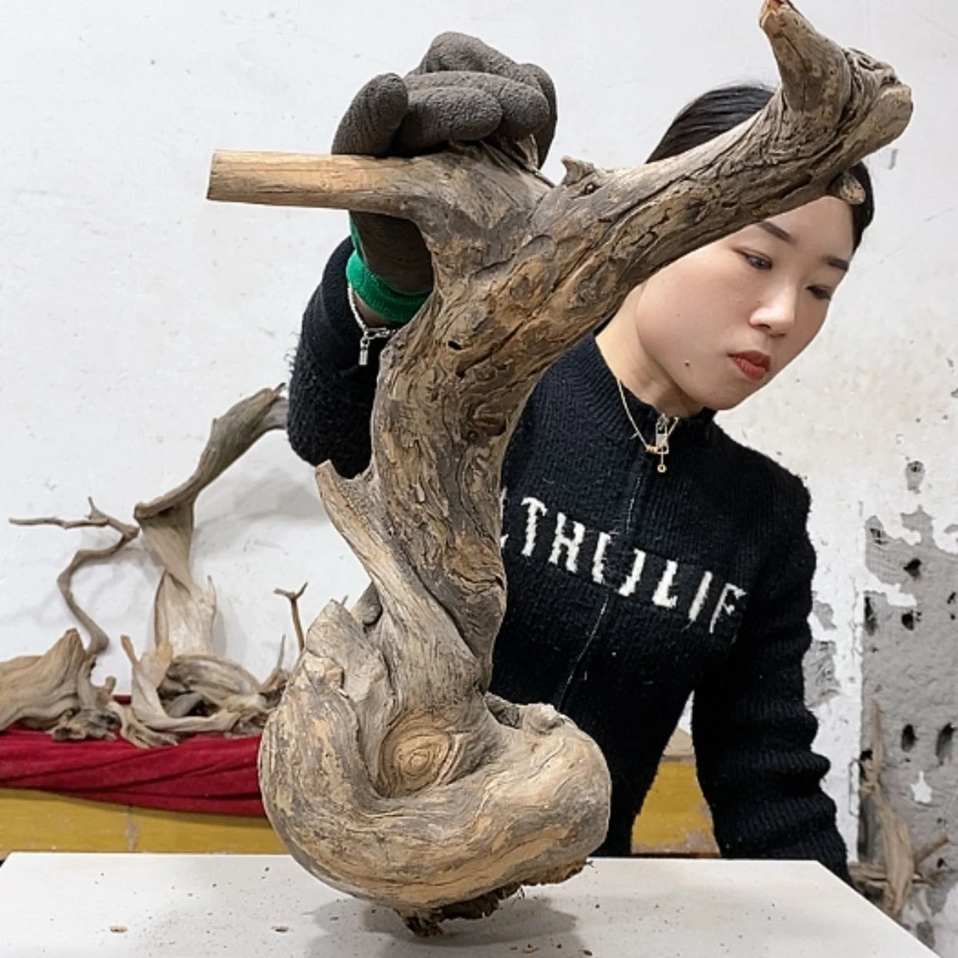 【闪购商品】柏木觉*我们都是好孩子