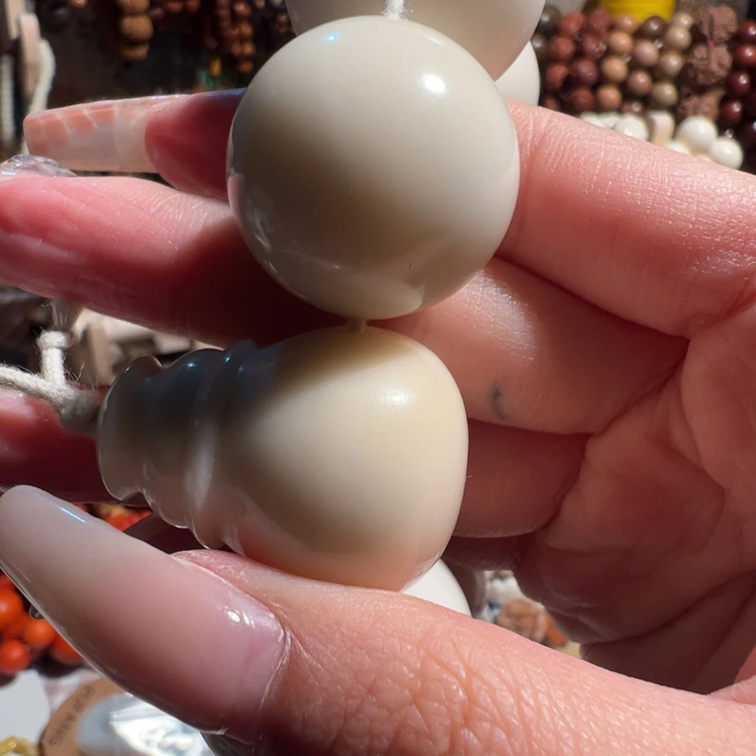 木＆****）牙果原果单颗一个