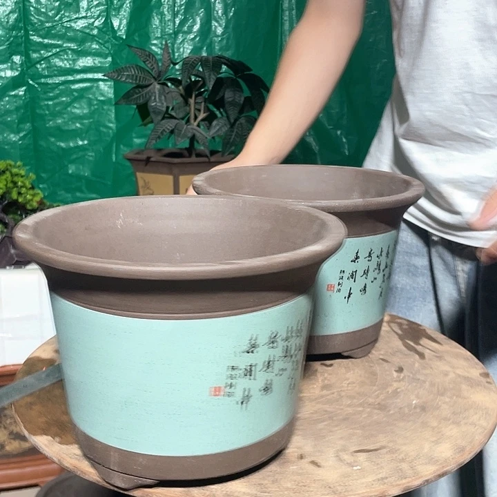 绿色陈波中号一对哈哈