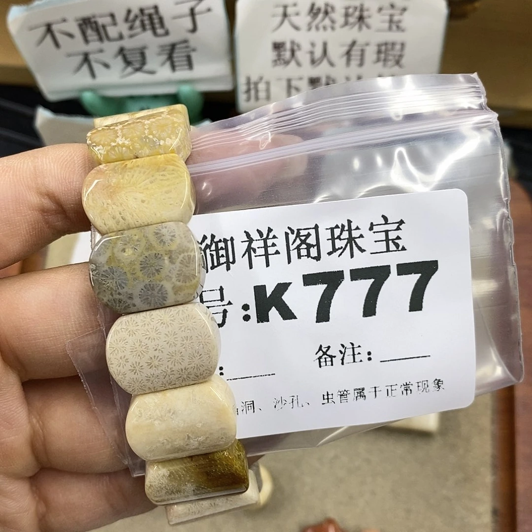 硅化珊瑚（珊瑚玉）未镶嵌颈饰
