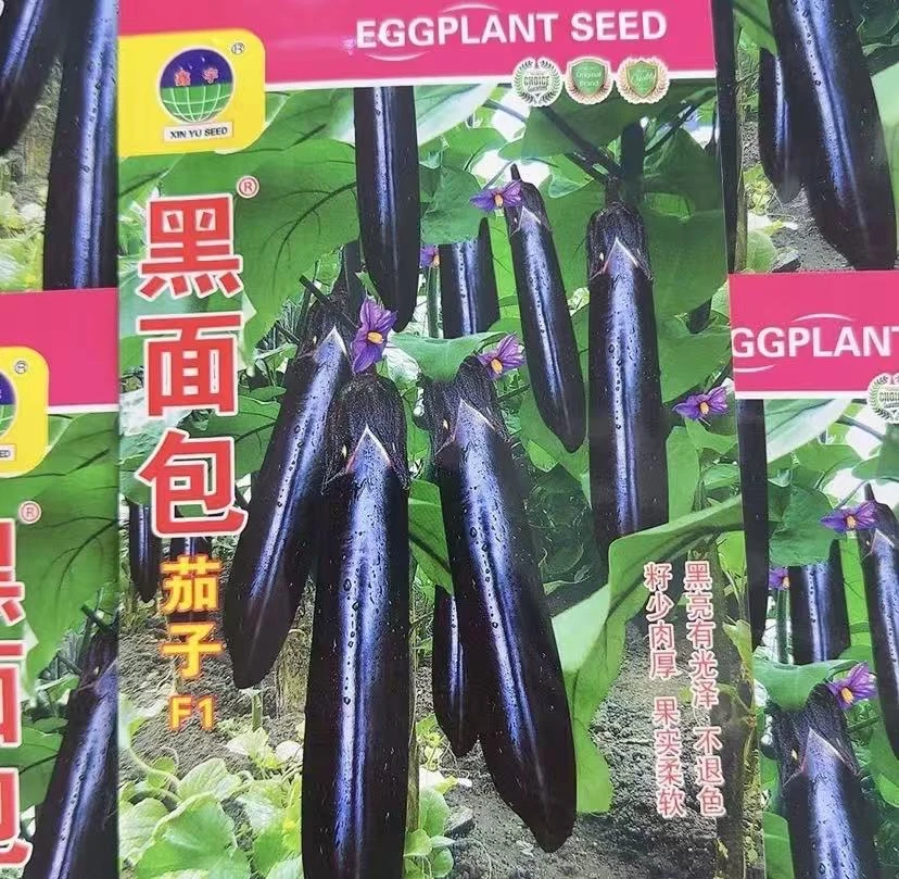 【黑面包茄子杂交种子】黑贵人长茄种子四季阳台盆栽