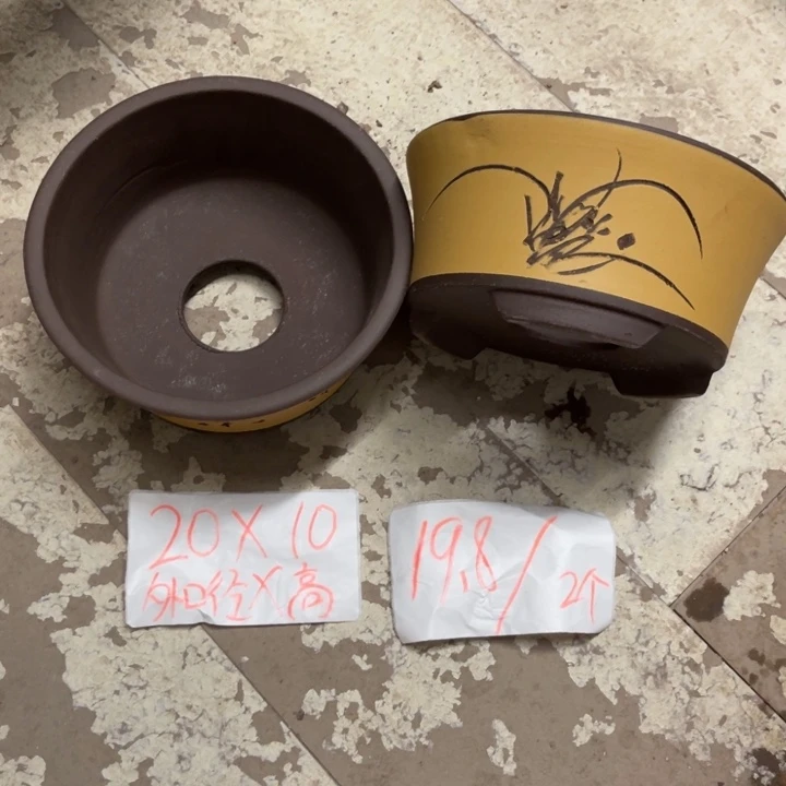 黑*紫砂花盆破的包赔