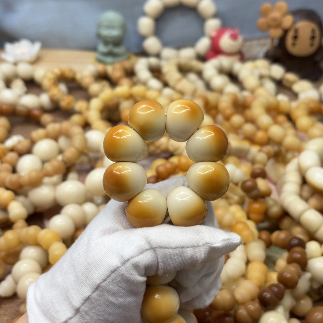 吊坠菩提根/象牙果22干磨牙果晕色山竹