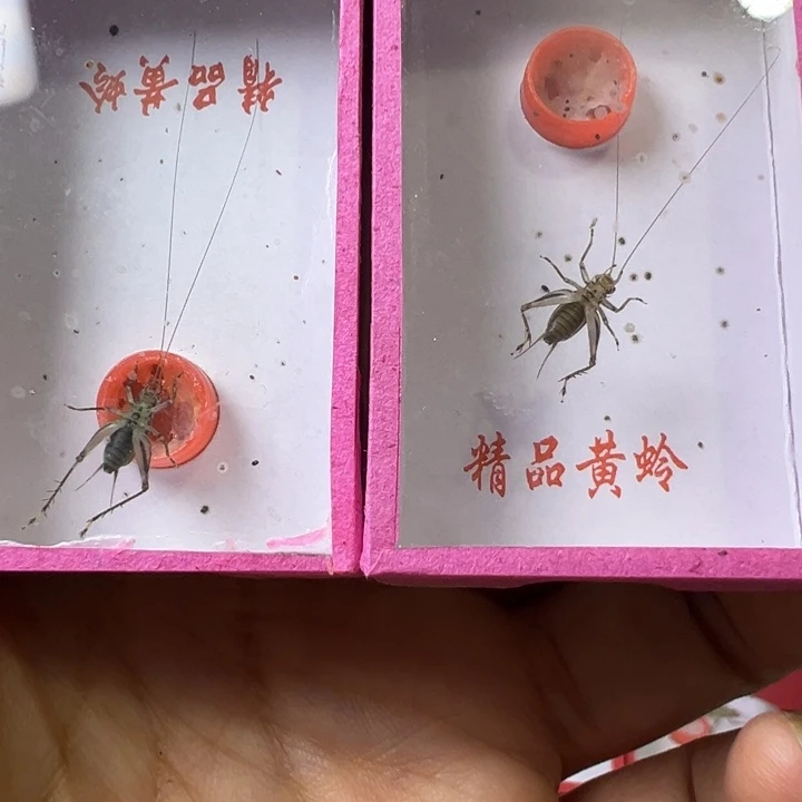 哈哈哈哈哈哈哈哈就好