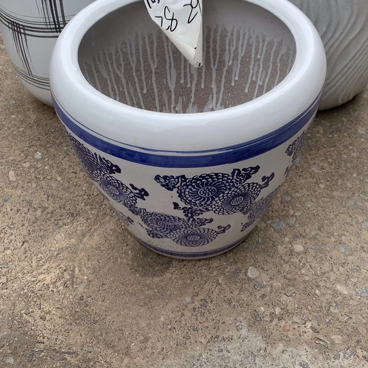 花盆里的小猫咪们都好