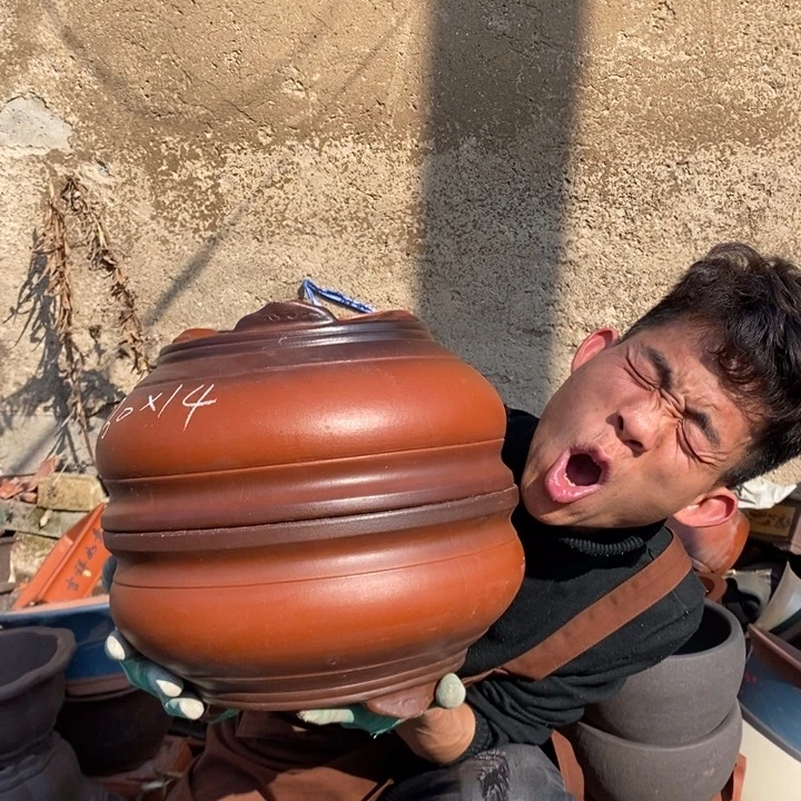 红陶我在这里看了