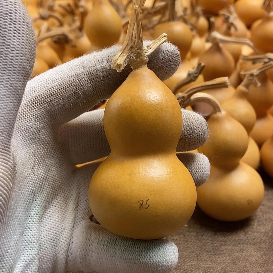 文玩葫芦 完美主义者 慎拍85