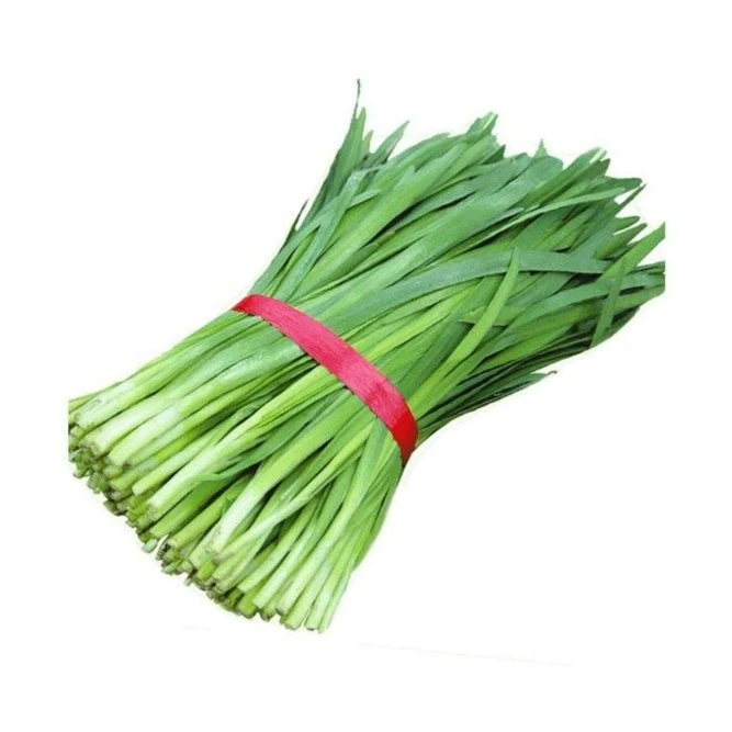 精品韭菜250g左右