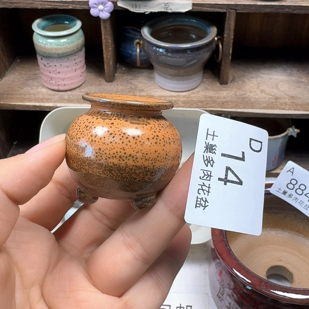 小****陶瓷工艺与艺术陶瓷艺术品设计与制作