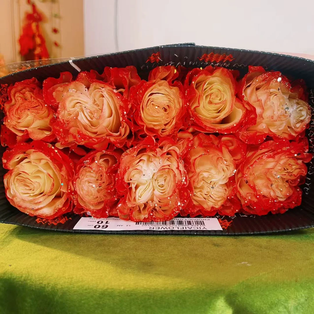 一花一木【 厄瓜多尔色系|闪亮登场】可做干花 基地直发 顺丰包邮