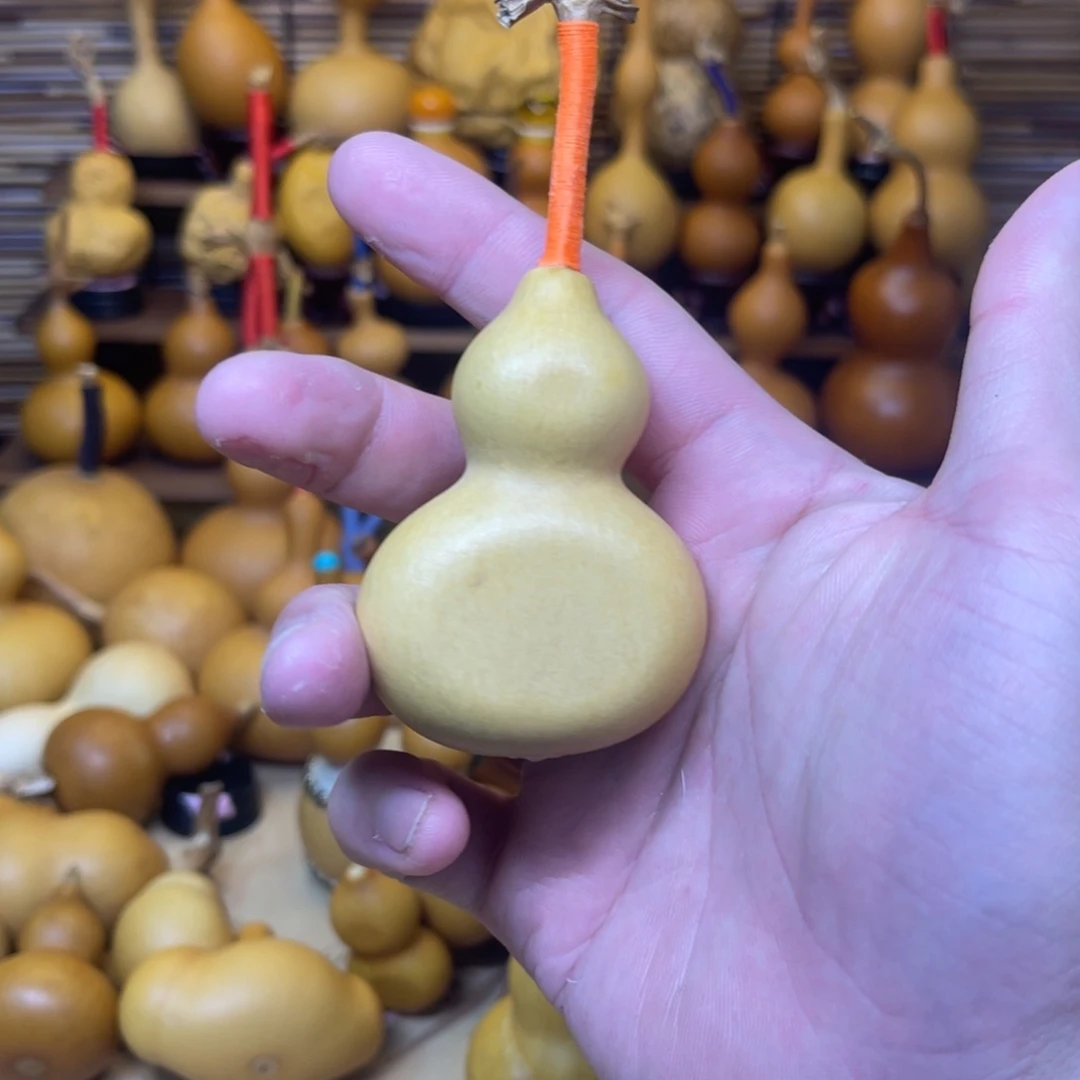 八宝夹扁厚皮响籽甩肚12