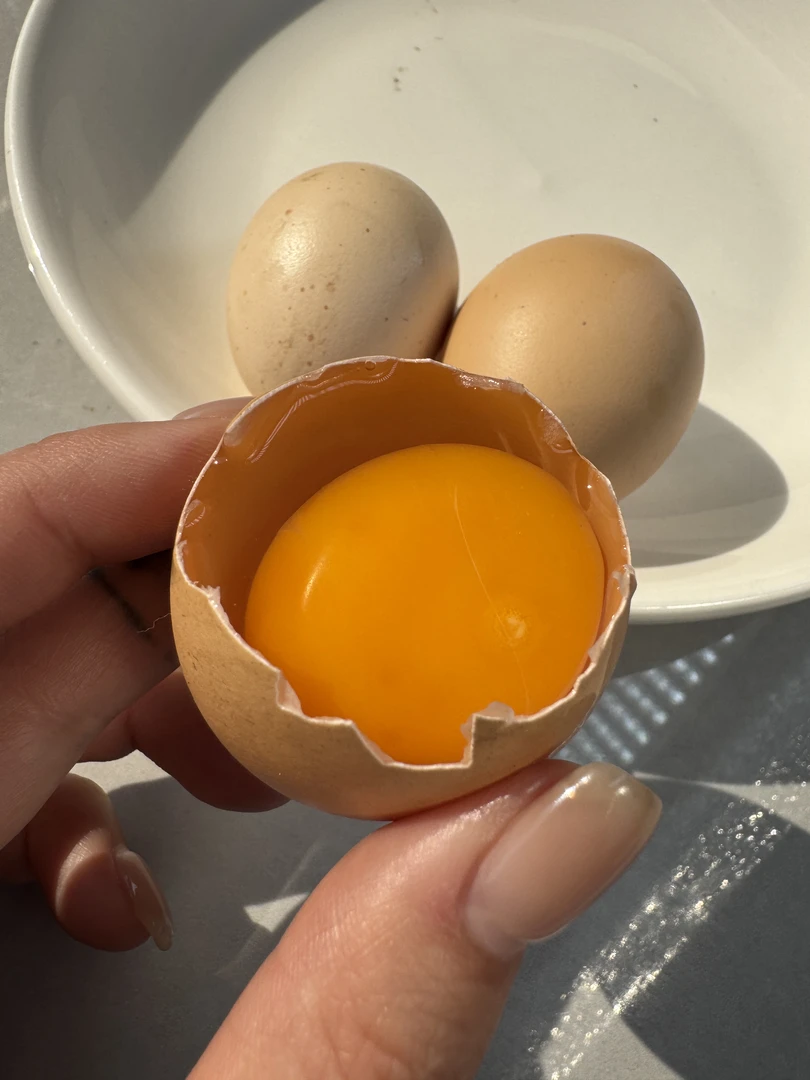 【欢欢特产】湖北公安正宗农户散养土鸡蛋现捡现发50枚包邮