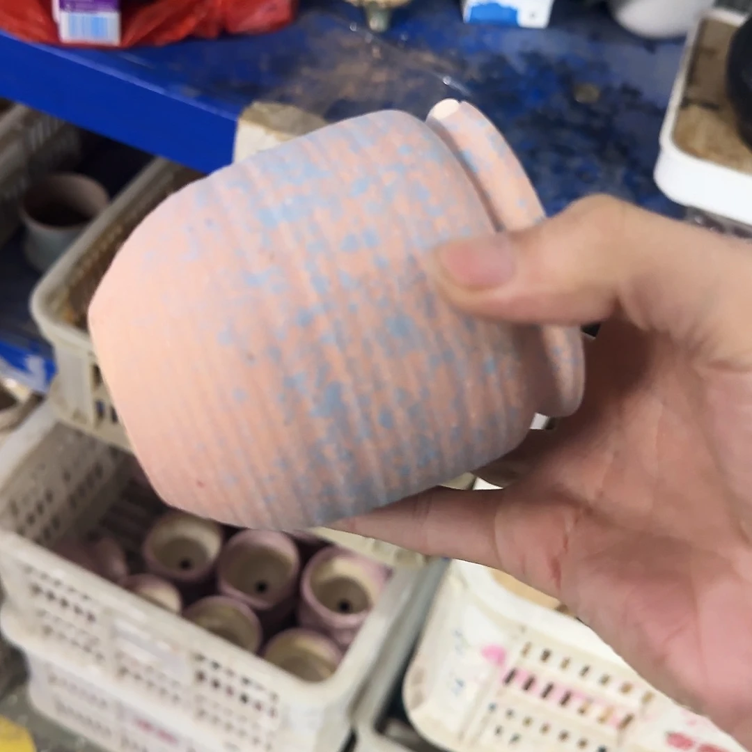 福利局绿植多肉盆［凑9元包邮24小时发］