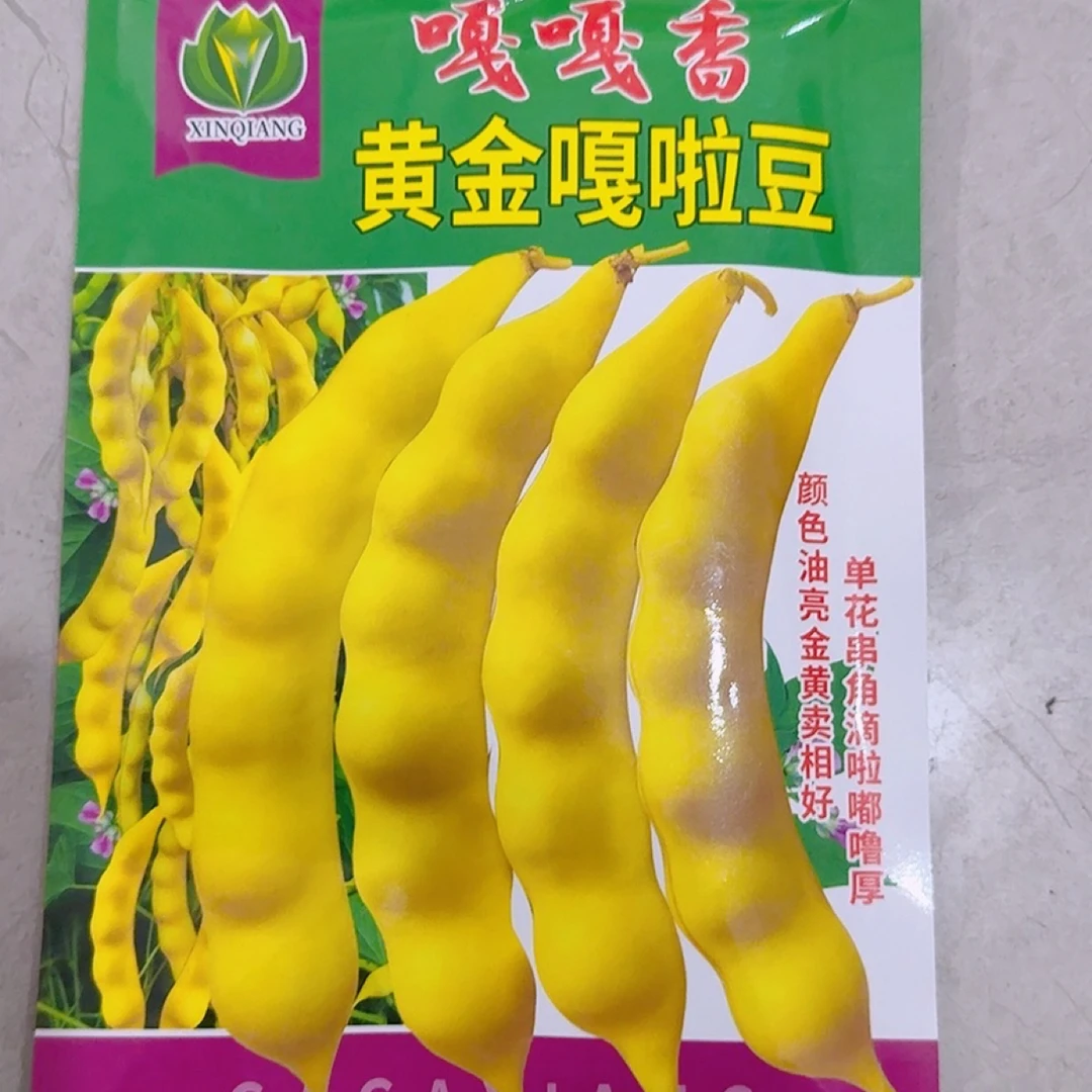 黄金嘎啦豆豆角种子 50克