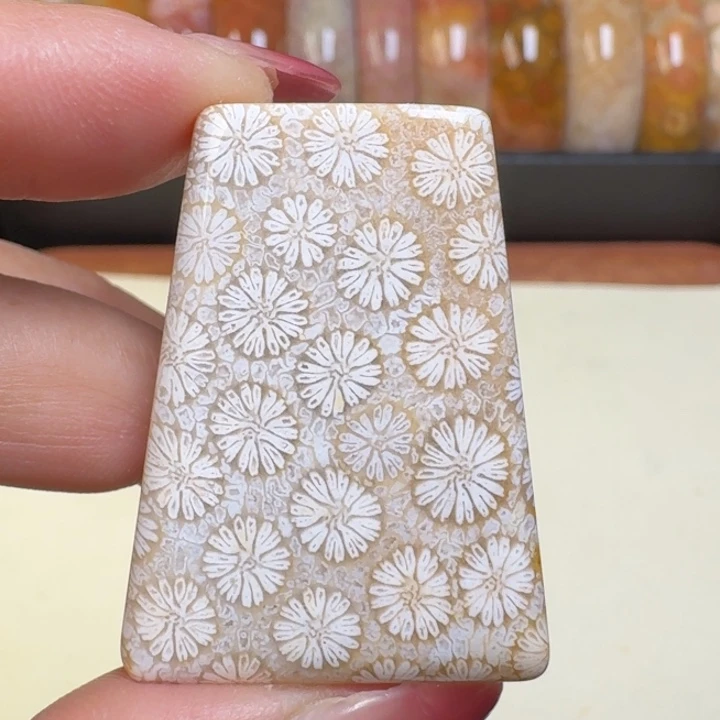 硅化玉未镶嵌吊坠(不含链)珊瑚玉