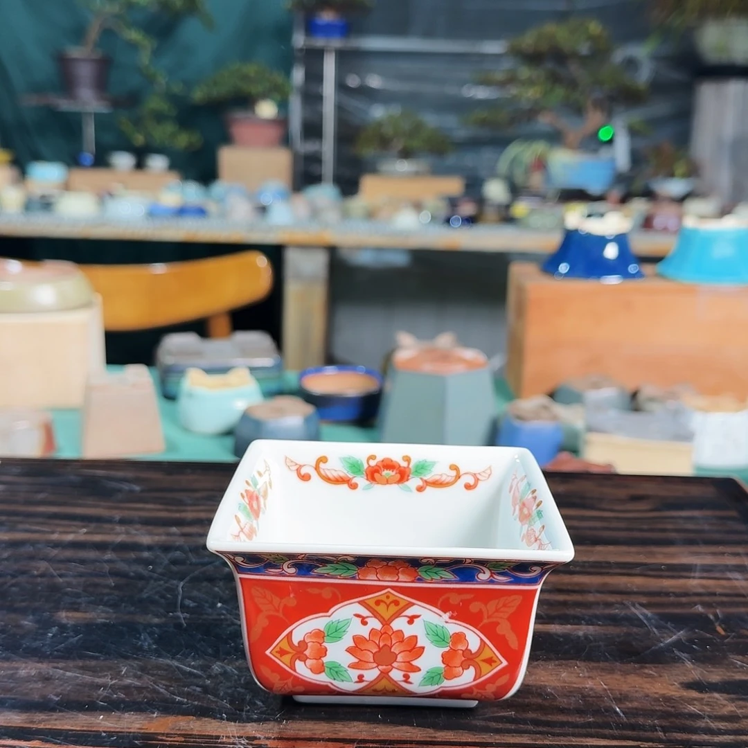 用***9无花朵进口盆栽盆器
