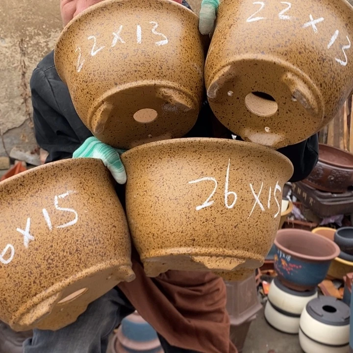 红陶这样我也可以去