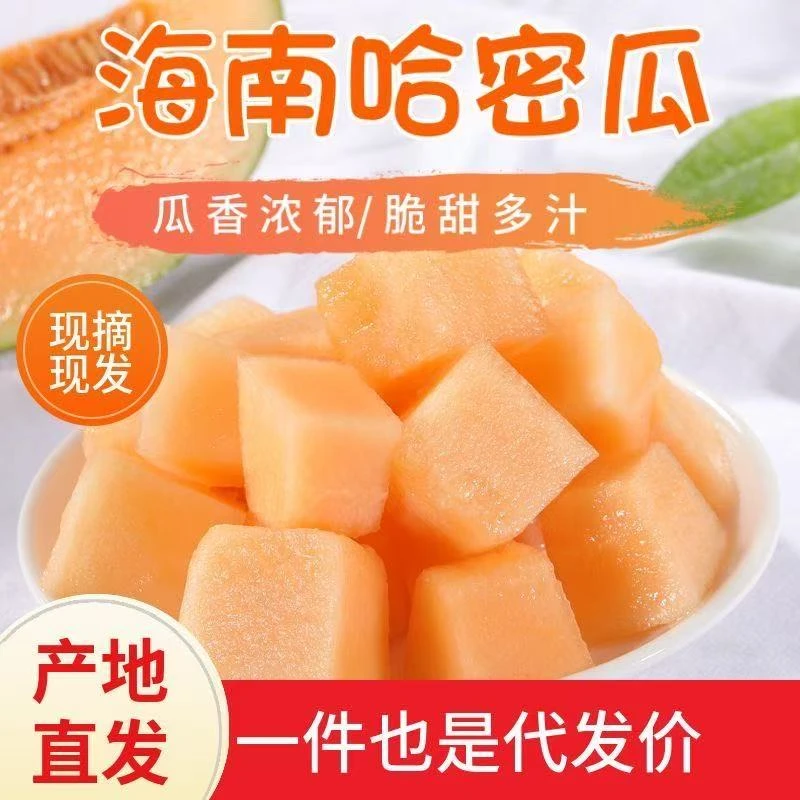 【海南发货】海南沙地哈密瓜西州蜜甜瓜当季新鲜水果现摘现发